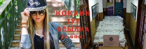 амф Алексин